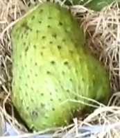 사워솝