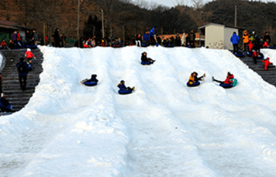 청양알파스마을 축제