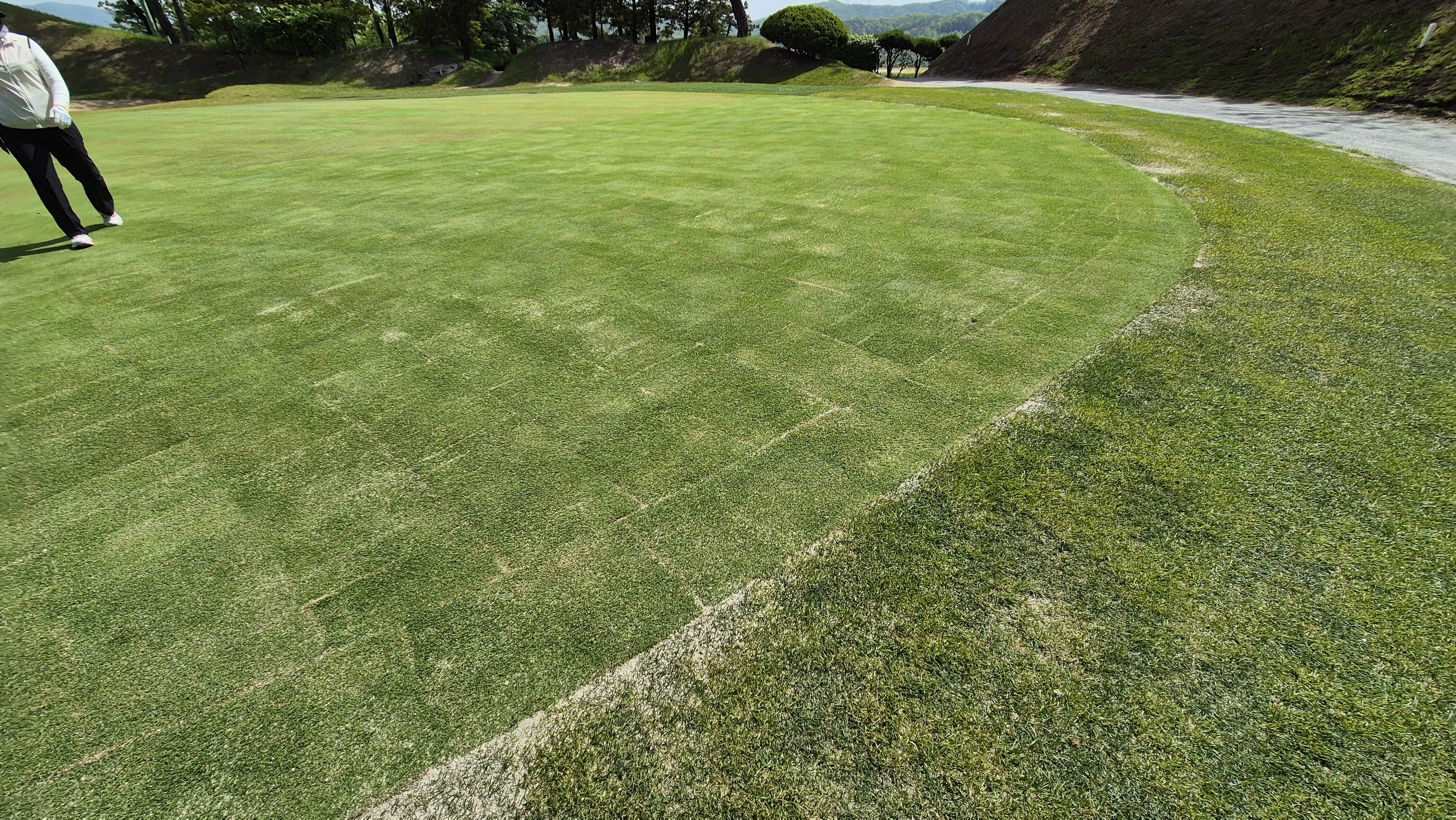 한원cc 라운드후기