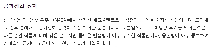 행운목 물주기 및 관리 방법