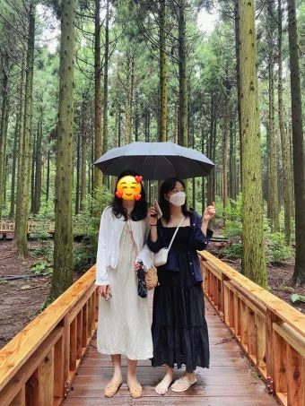 제주도 여름 옷차림 가이드 평균 기온과 준비물 정리_26