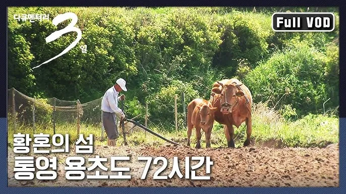 용초도 배시간표 배편 요금 낚시포인트_6