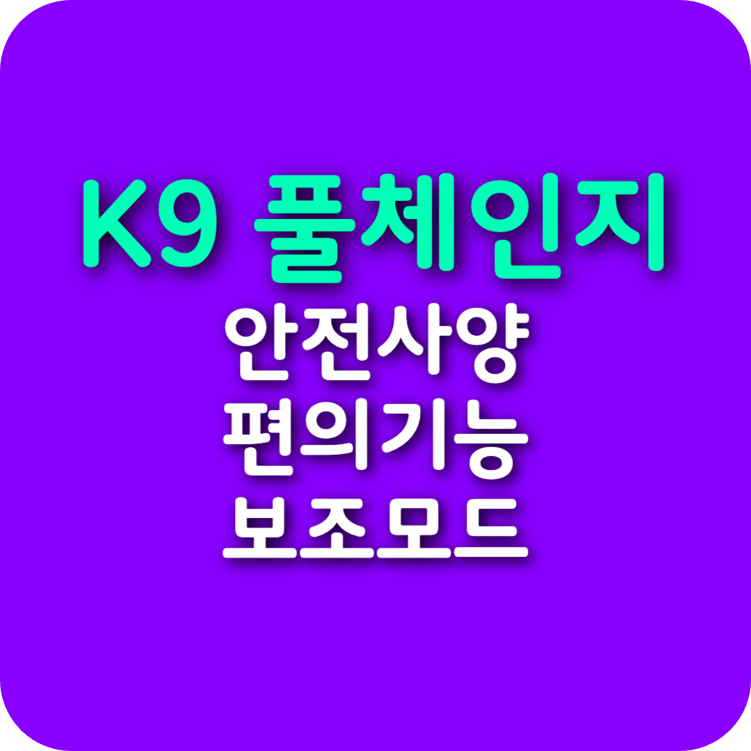 K9 안전사양과 편의기능 보조모드 소개
