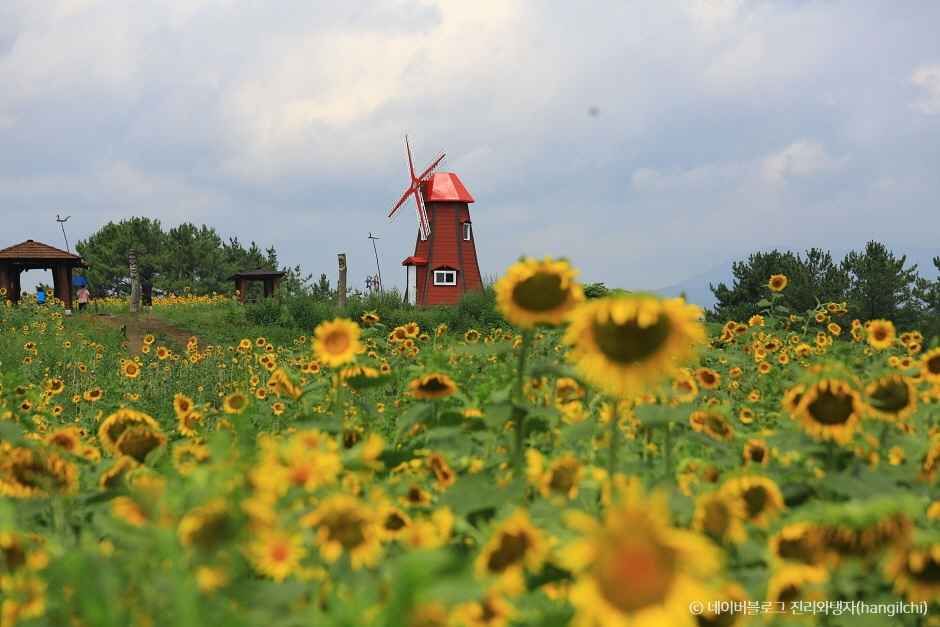 함안 가볼만한곳 베스트10