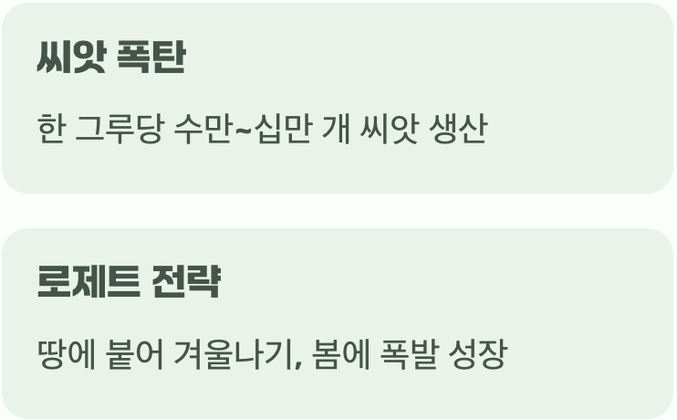 적을 알아야 이긴다&amp;#44; 끈질긴 생명력의 비밀