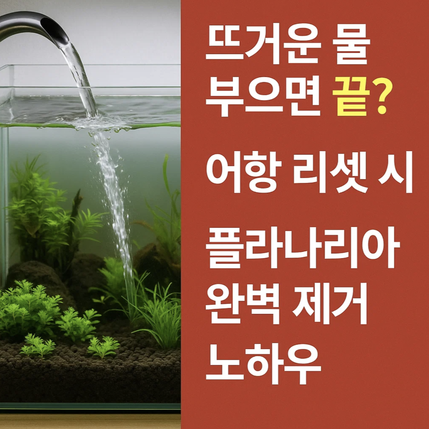 뜨거운 물 부으면 끝? 어항 리셋 시 플라나리아 완벽 제거하는 노하우