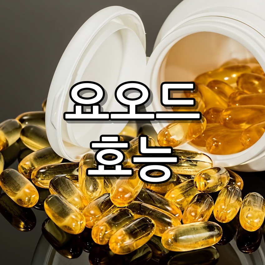 요오드 효능 음식 5가지 부족하면 나타나는 증상