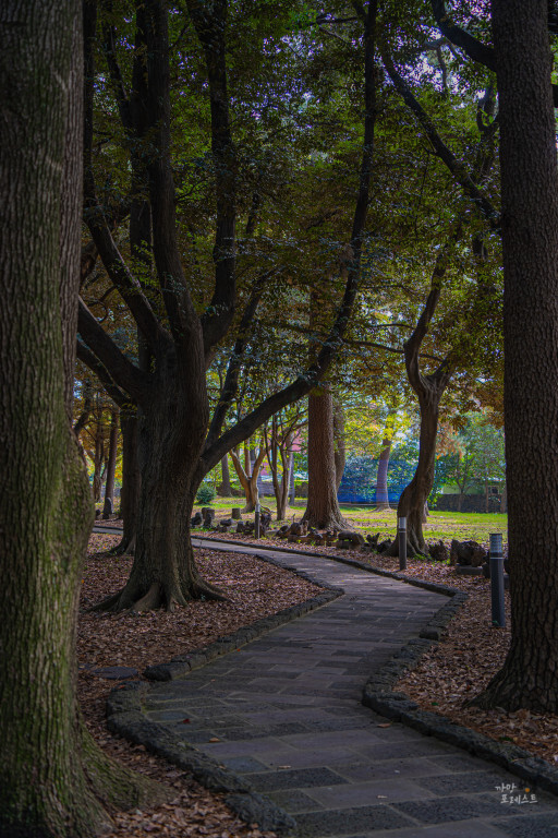 제주 삼성혈 내부