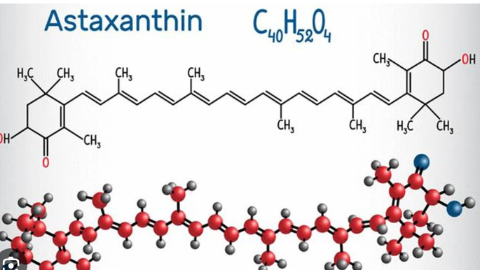 아스타잔틴 구조도