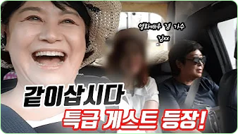 박원숙 박원숙의 같이 삽시다 시즌3, 나이, 재방송, 남해 카페, 프로필, 아들,고향, 가족, 드라마