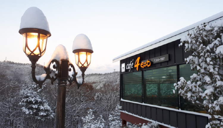 해남 포레스트 수목원