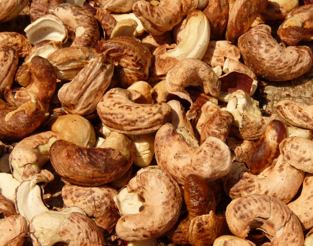 캐슈넛-영양성분