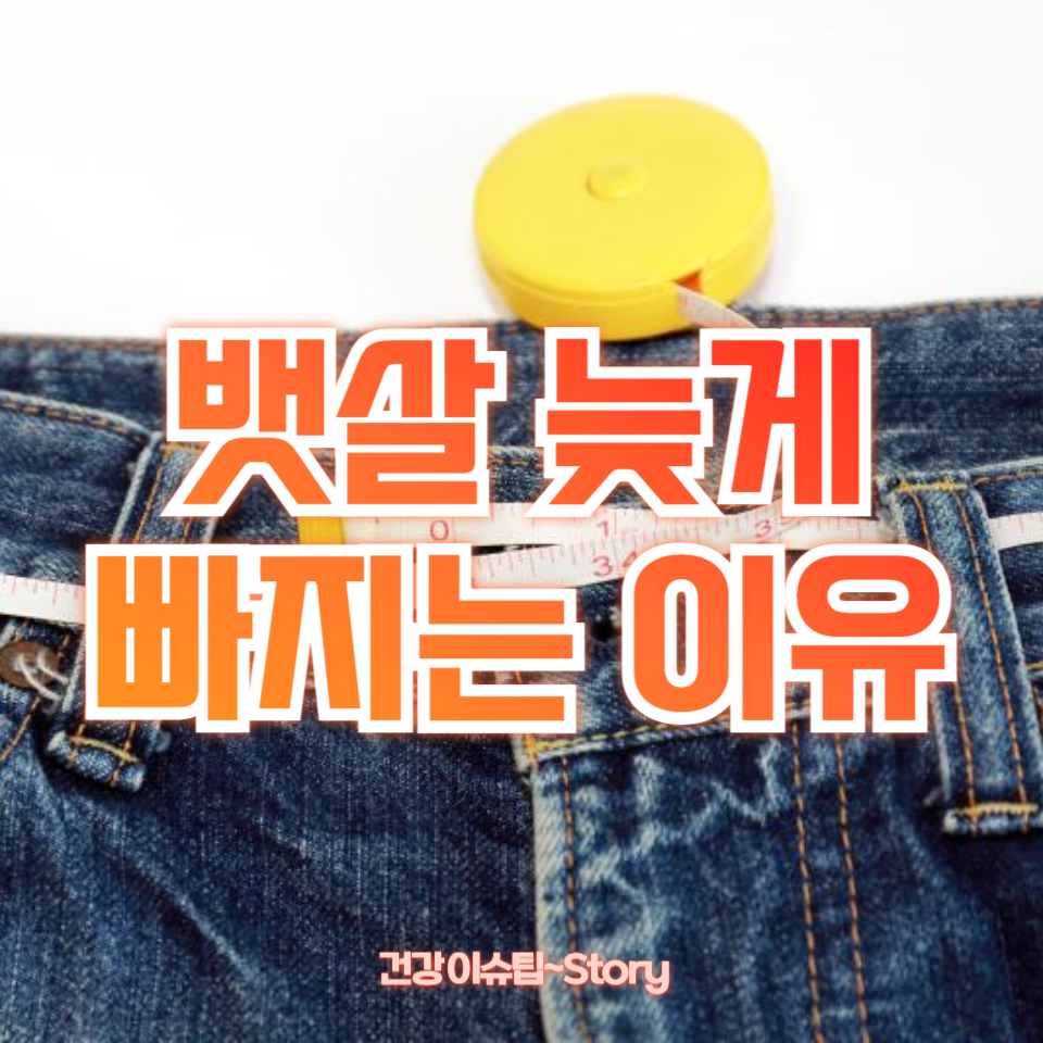 뱃살 늦게 빠지는 이유