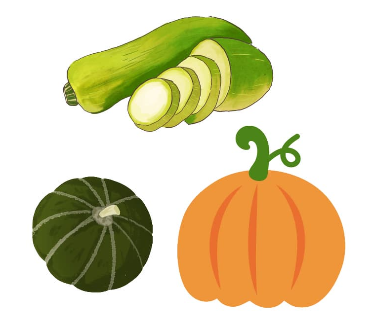 호박의 종류와 특징 – 어떤 품종을 고를까?