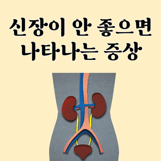 신장이-안좋으면-나타나는-증상