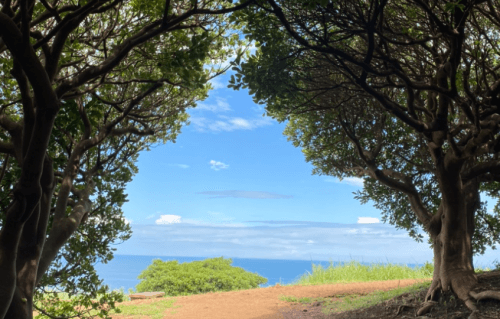 도두봉-키세스존