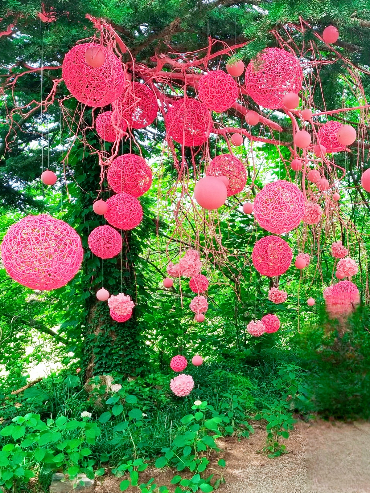 충남 당진 아미미술관: 현대미술, 수국, 야외 조형물, 인스타그램 감성 포토존