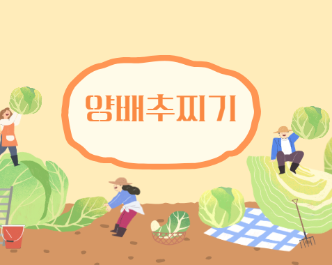 양배추 찌는법