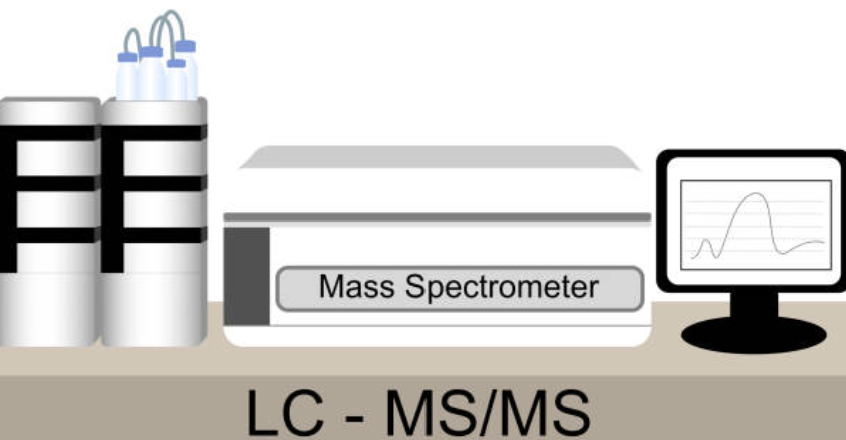 ICH M10 Bioanalytical Method Validation 대응 &ndash; 국내 제약 분석팀 실무 전략