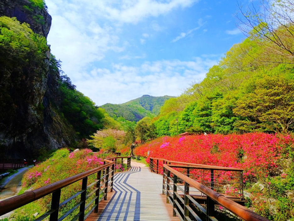 강천산군립공원