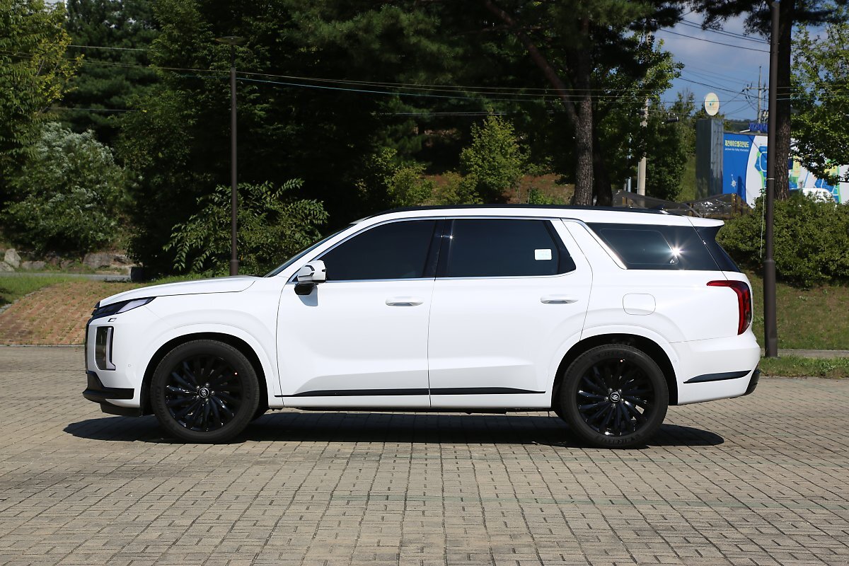 팰리세이드 블랙에디션