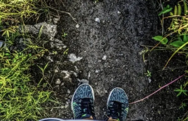 나이키 에어맥스 Dn8