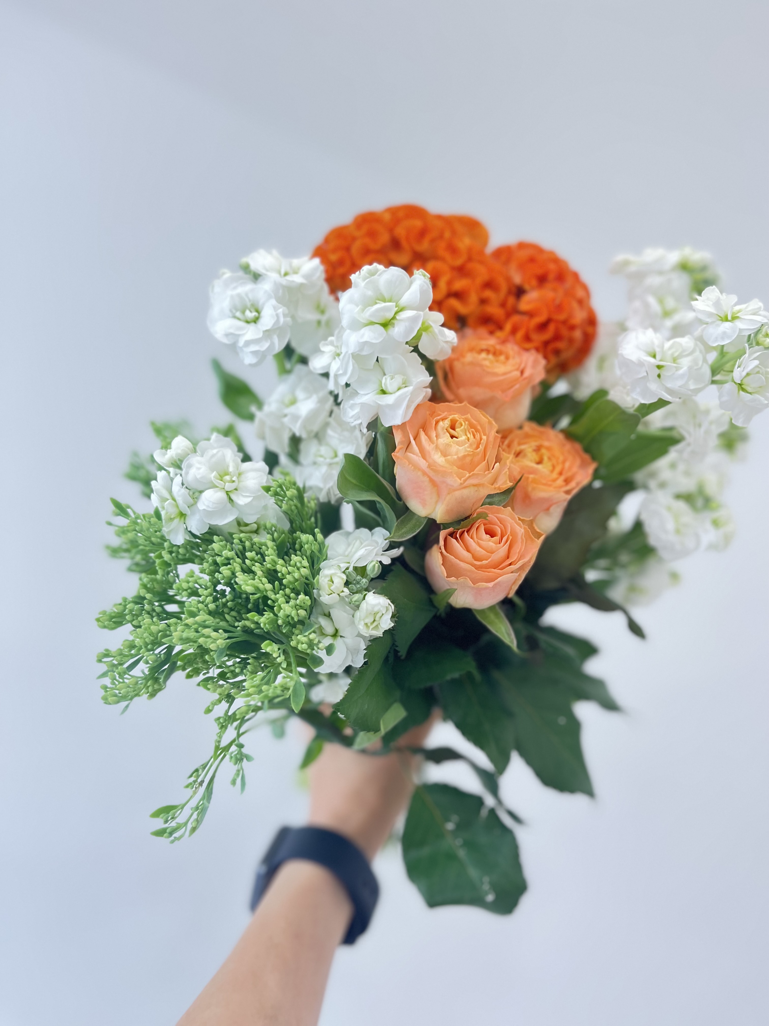 끌리네 눈썹 엔드 두피