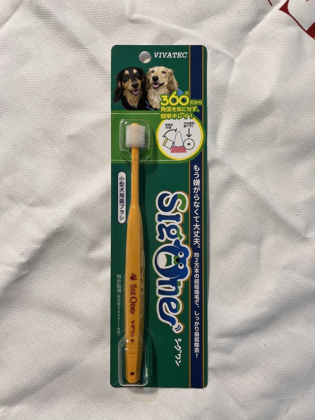 비바텍-시그윈-칫솔