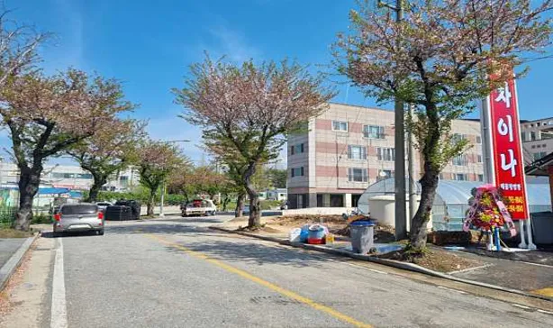 차이나해물왕짬뽕
