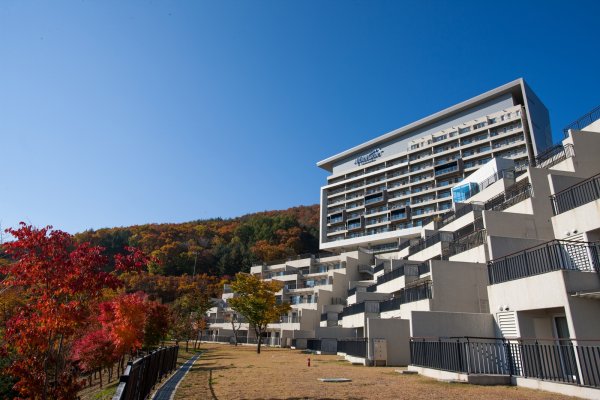 하이원 리조트 스키장