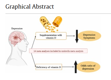 우울증 개선 기전 설명