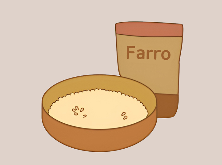 파로-곡물-외관