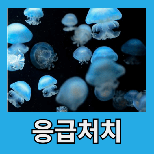 응급조치