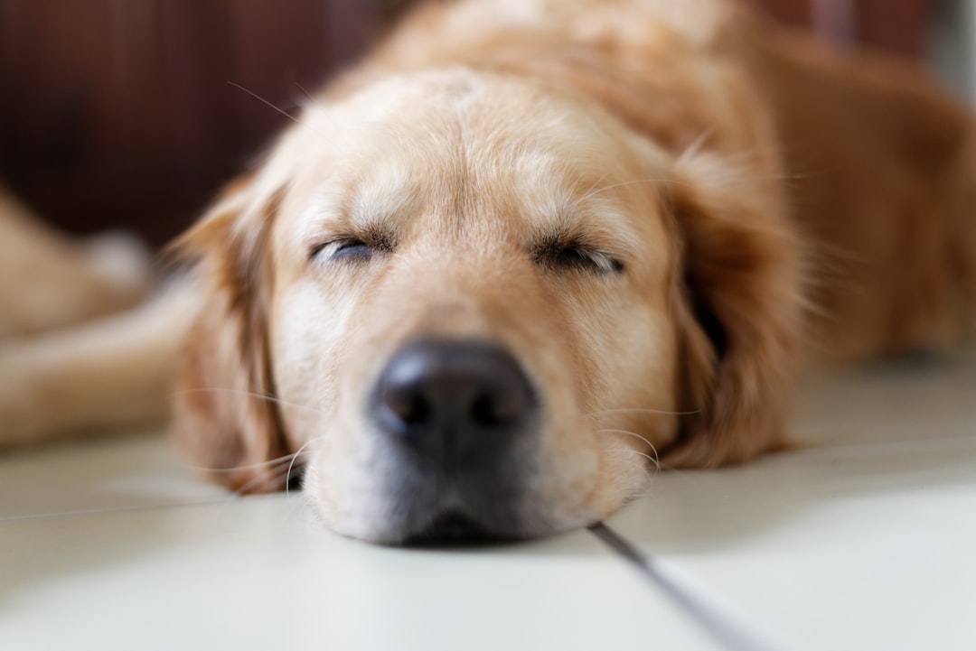 Sleep