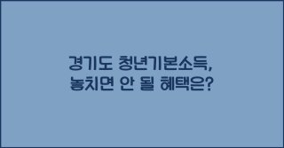 사용처와 제한 사항