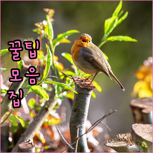 버리기 전 필수! 사상구 대형폐기물 ..