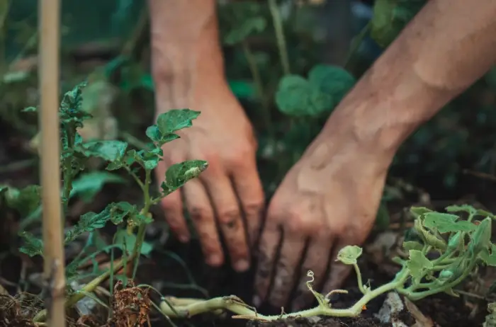 파상풍 초기증상
