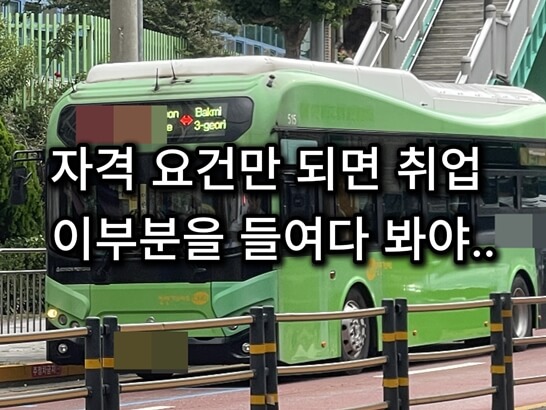 지역-버스