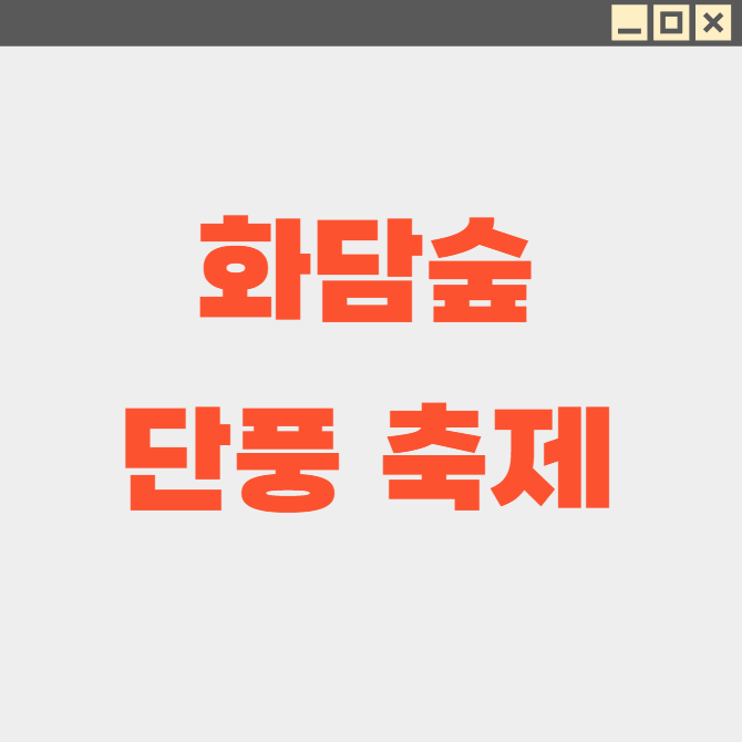 화담숲 단풍축제 완벽 즐기는 3가지 꿀팁