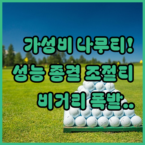 가성비 나무 골프 티 및 기능성 조절..