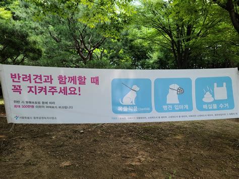 과실치상죄