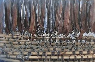 포항 과메기 덕장