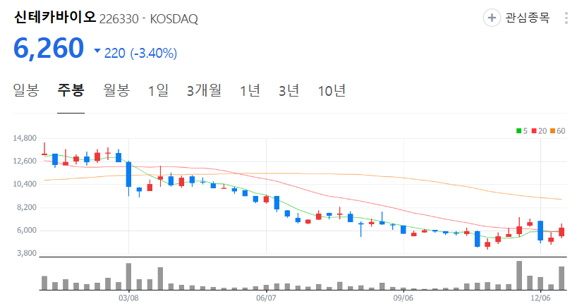 신테카바이오-주가-주봉