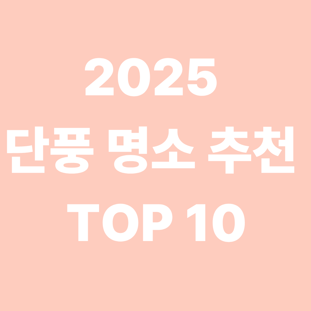 2025 단풍 명소