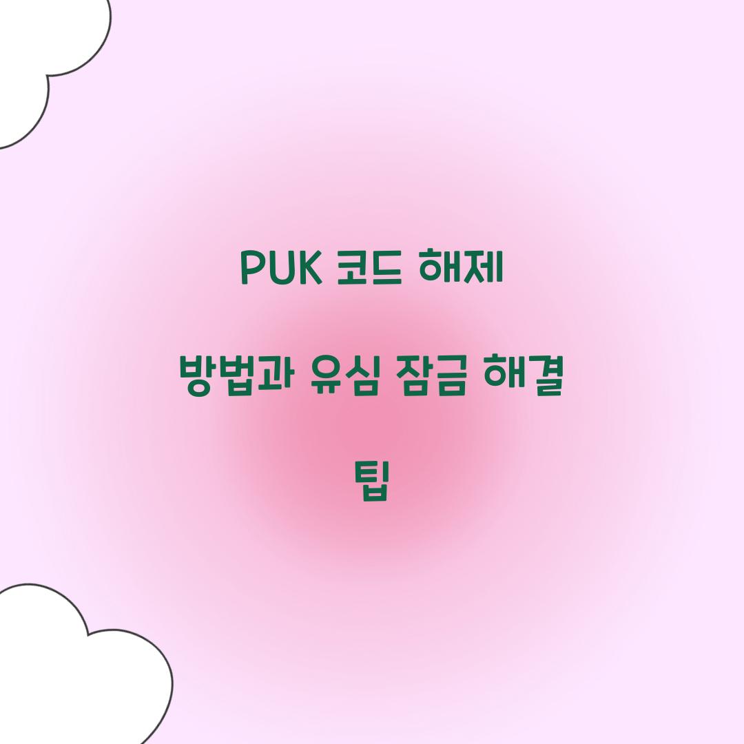 PUK 코드 해제 방법