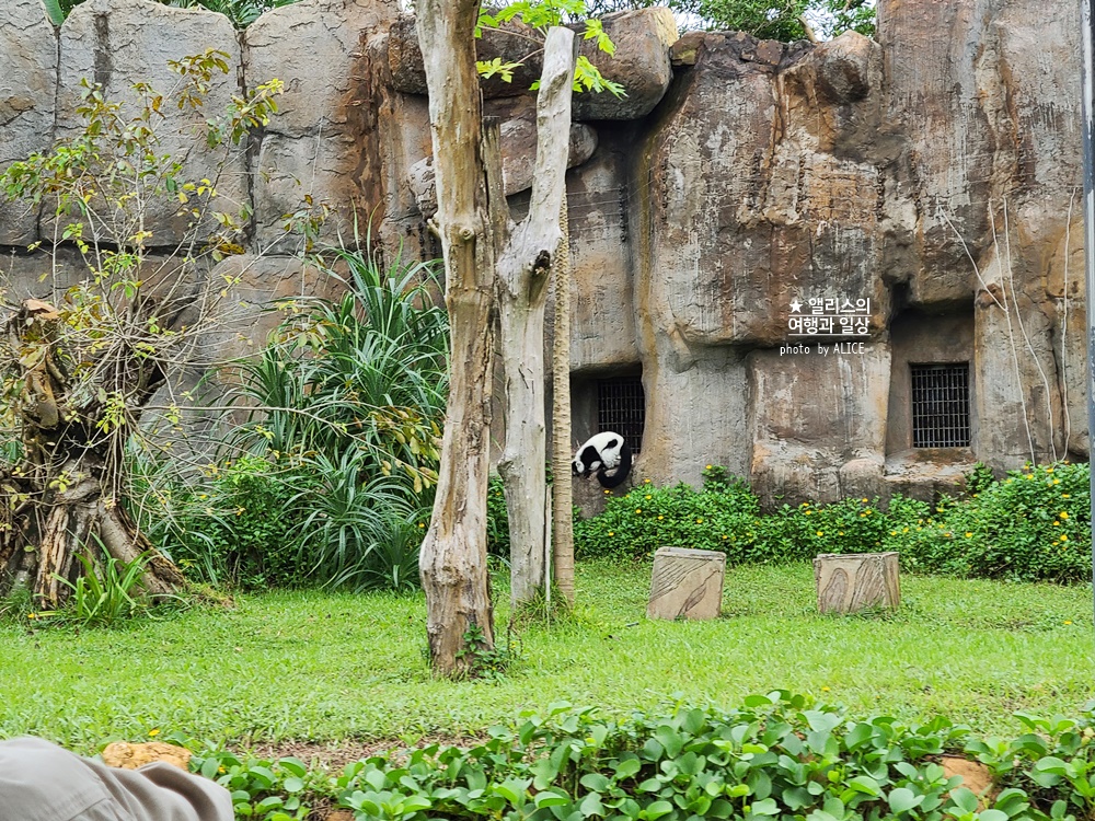 베트남 남호이안 빈원더스 사파리 후기 가격 할인입장권 예약 리버