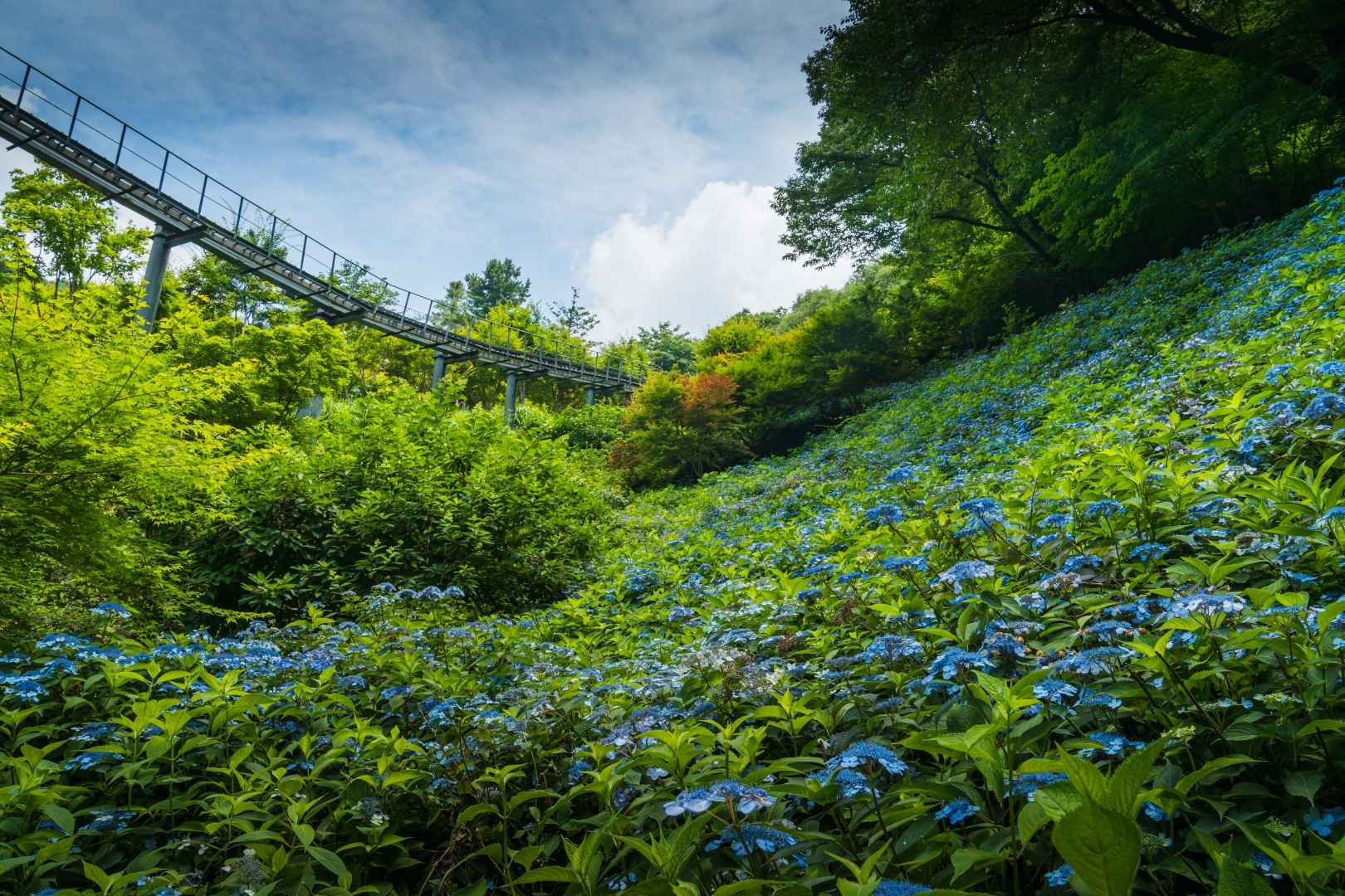 화담숲