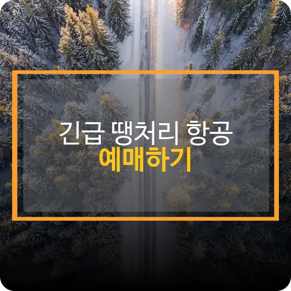 긴급 땡처리 항공권