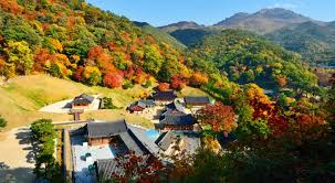 경북 가을 산행지 추천