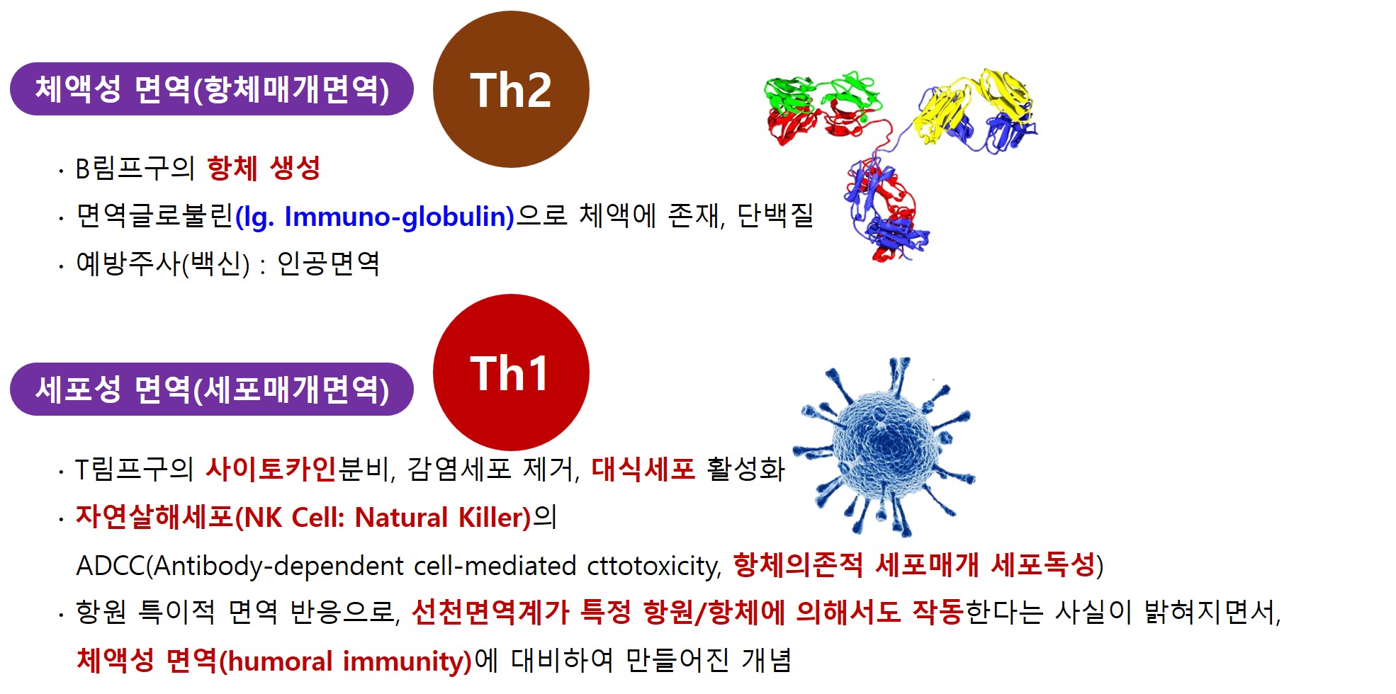면역